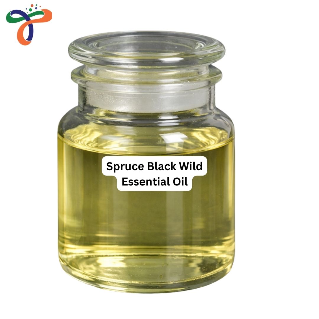 Spruce Black Wild Essential Oil